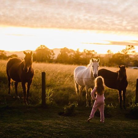 Vila Fernhill Guest Farm Knysna Exteriér fotografie