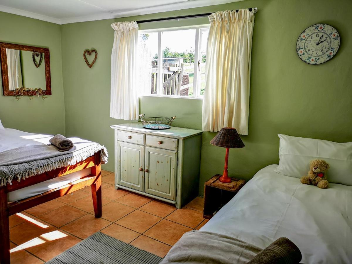 Vila Fernhill Guest Farm Knysna Exteriér fotografie