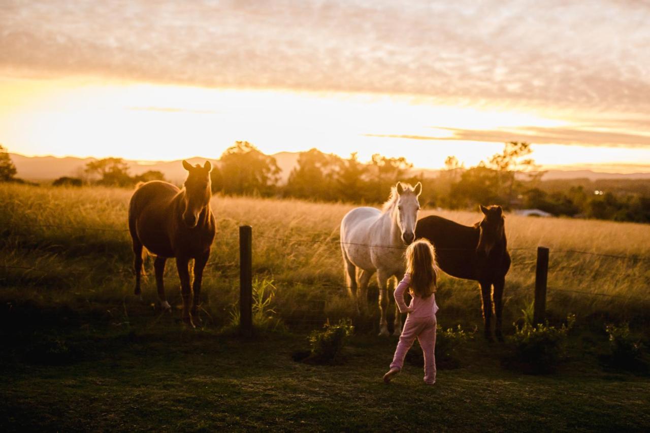 Vila Fernhill Guest Farm Knysna Exteriér fotografie