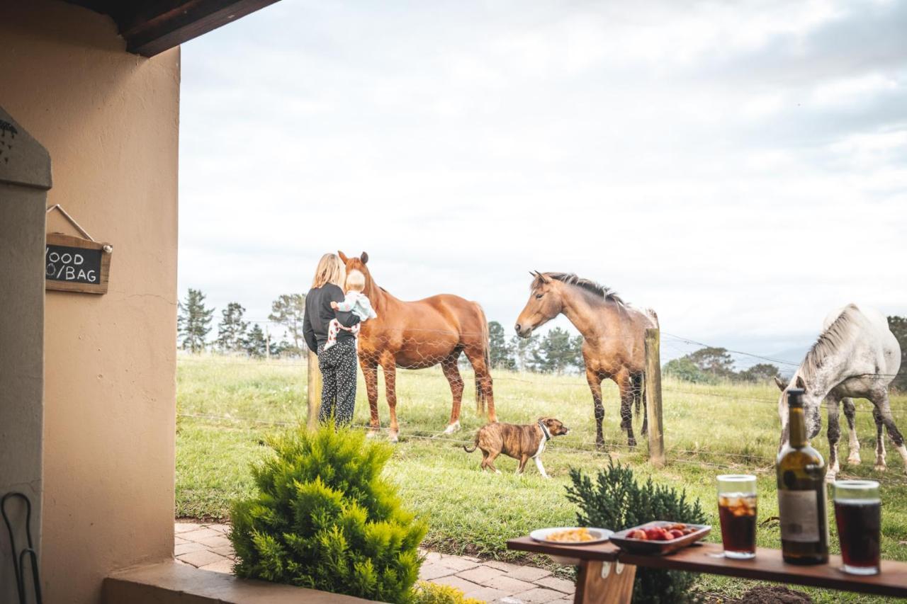 Vila Fernhill Guest Farm Knysna Exteriér fotografie