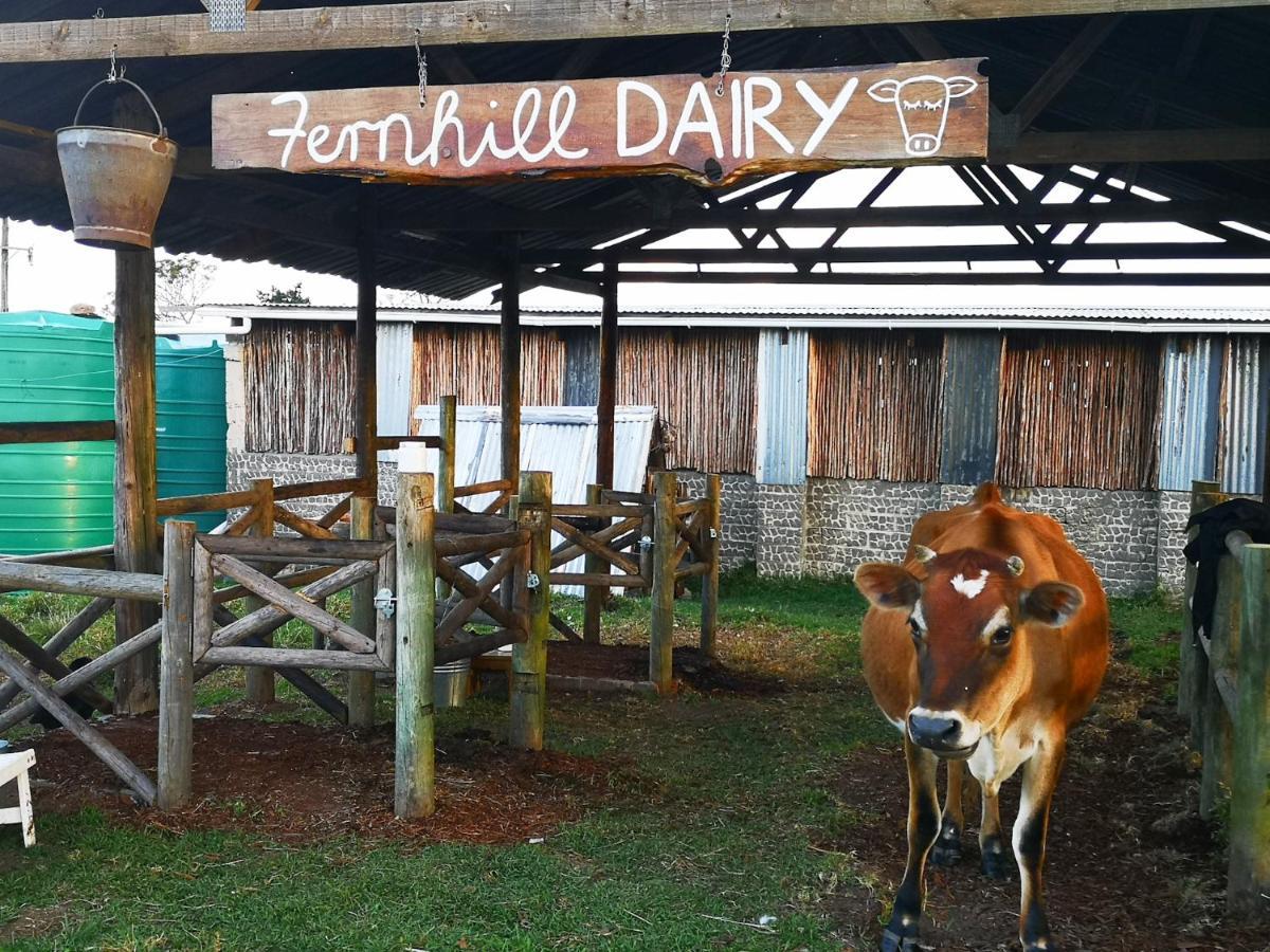 Vila Fernhill Guest Farm Knysna Exteriér fotografie