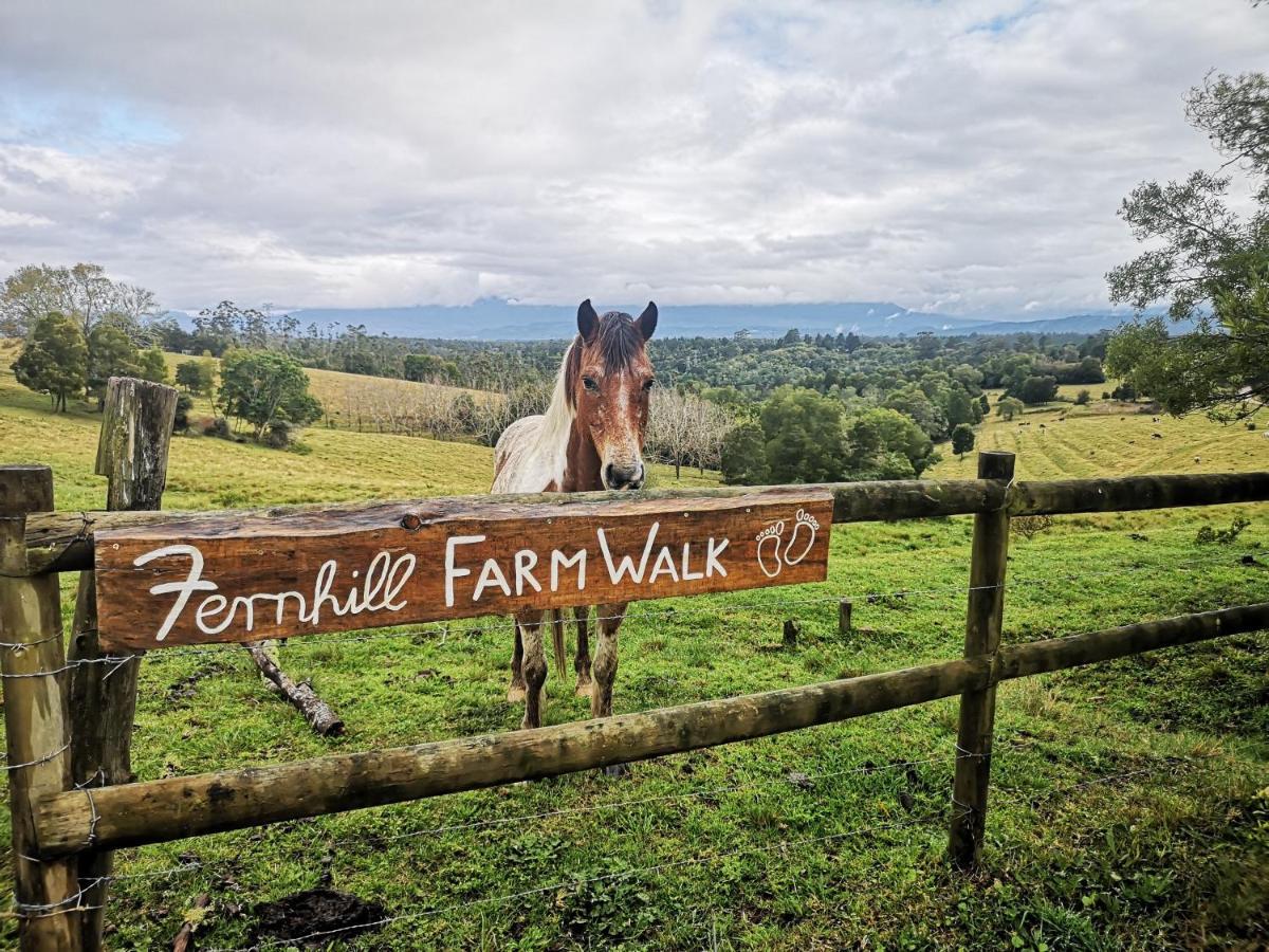 Vila Fernhill Guest Farm Knysna Exteriér fotografie