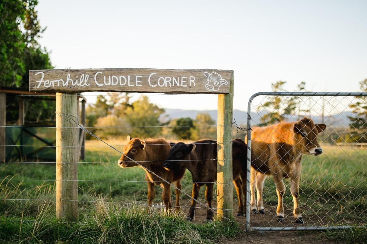 Vila Fernhill Guest Farm Knysna Exteriér fotografie